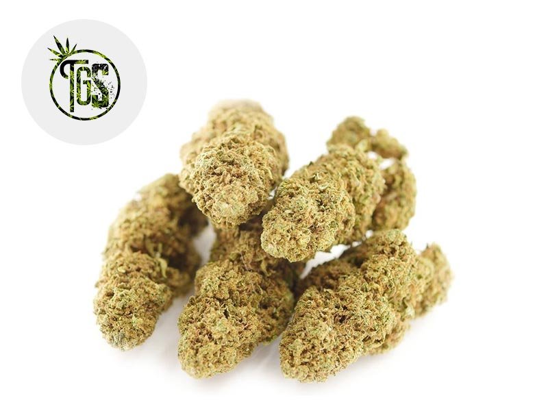 Fleur Tutti Frutti CBD Indoor 12% - The Green Store