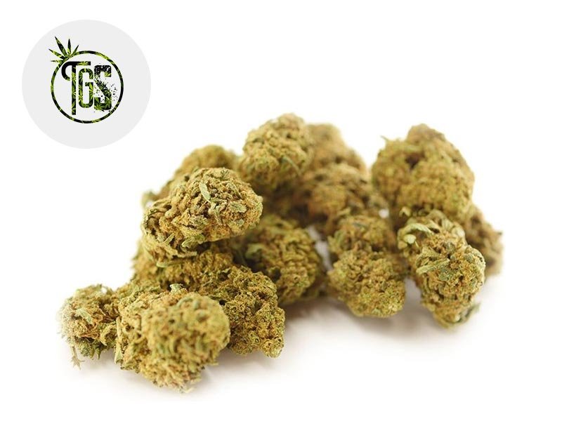 Fleur Super Lemon Haze CBD Indoor 13% - The Green Store