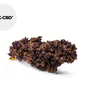 Fleur Purple Haze CBD 50g Indoor 20% - We-CBD