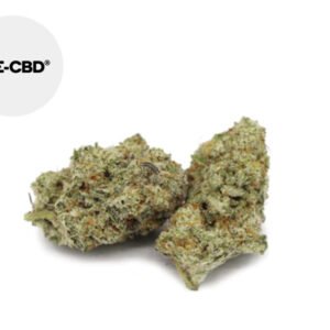 Fleur Swiss Cheese CBD Indoor 20% - We-CBD