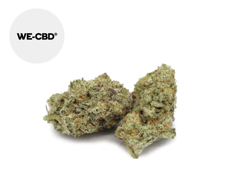 Fleur Swiss Cheese CBD Indoor 20% - We-CBD