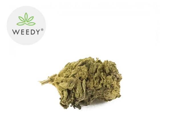 Fleur Amnesia Haze CBD Indoor 14% - Weedy