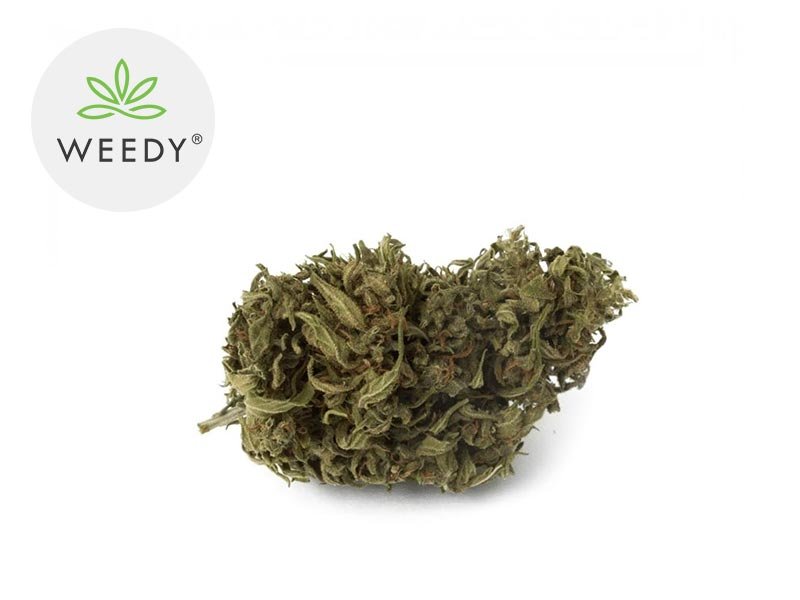 Fleur Sweet Karma CBD Outdoor 8% - Weedy