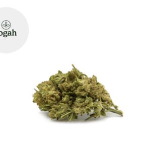 Fleur Amnesia d'Ardèche CBD Greenhouse 7.04% - Yogah