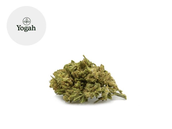 Fleur Amnesia d'Ardèche CBD Greenhouse 7.04% - Yogah