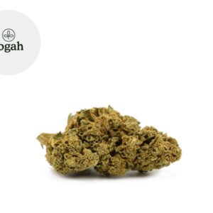 Fleur Bubble Gum du Sud-Est Greenhouse 7.04% - Yogah