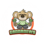 cannanews