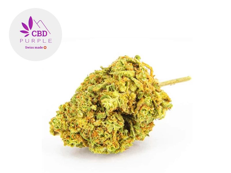 Fleur Bubba Kush CBD Indoor 17% - CBD Purple