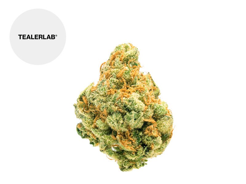 Fleur Zkittlez CBD Indoor 23% - TealerLab