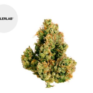 Fleur White Widow CBD Indoor 22% - TealerLab