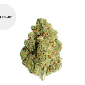 Fleur Amnesia Calilab CBD Indoor 32% - TealerLab