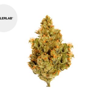 Fleur Blueberry Calilab CBD Indoor 31% - TealerLab