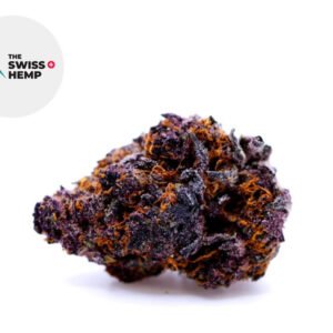Fleur Queen Purple CBD Indoor 25% - The Swiss Hemp