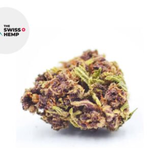 Fleur Purple Punch CBD Greenhouse 18% - The Swiss Hemp