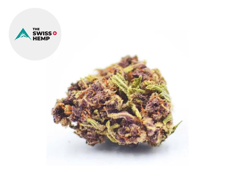 Fleur Purple Punch CBD Greenhouse 18% - The Swiss Hemp