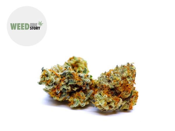 Fleur Tutti Frutti Small Buds CBD Greenhouse 11% - Weed Side Story