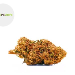 Fleur Girl Scout Cookie CBC Greenhouse 20% - Alcovezen