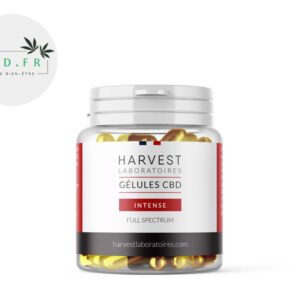 Gélules CBD (1500mg) Cure Intense - Harvest Laboratoires