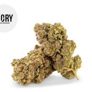 Fleur Tropicana CBD Indoor 14% - Ivory Swiss