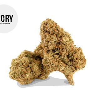 Fleur Mango Gelato CBD Indoor 18.3% - Ivory Swiss