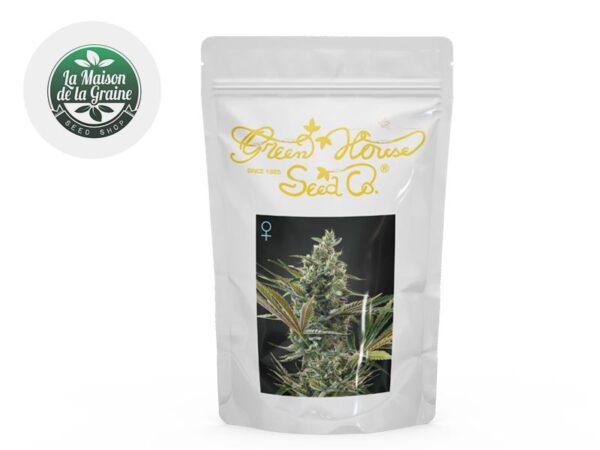 Graines CBD Super Lemon Haze autoflorissantes - La Maison De La Graine