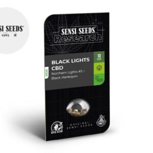 Graines CBD Black Lights autoflorissantes - Sensi Seeds