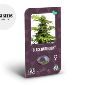 Graines CBD Black Harlequin féminisées - Sensi Seeds