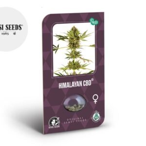 Graines CBD Himalayan féminisées - Sensi Seeds
