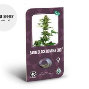 Graines CBD Satin Black Domina féminisées - Sensi Seeds