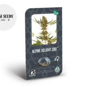 Graines CBD Alpine Delight autoflorissantes - Sensi Seeds