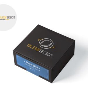 Graines CBD Moby Dick autoflorissantes - Silent Seeds