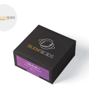 Graines CBD Og Kush féminisées - Silent Seeds