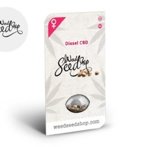 Graines CBD Diesel féminisées - Weedseedshop