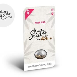 Graines CBD Kush féminisées - Weedseedshop