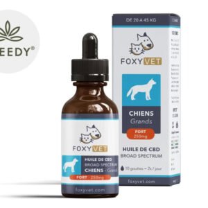 Huile CBD pour Grand Chien 10% - Foxyvet