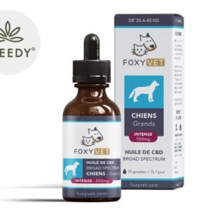 Huile CBD pour Grand Chien 5