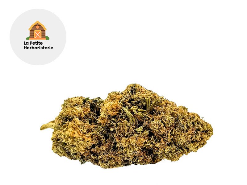 Fleur Muscimol 10-OH-HHC Greenhouse 17% - La Petite Herboristerie