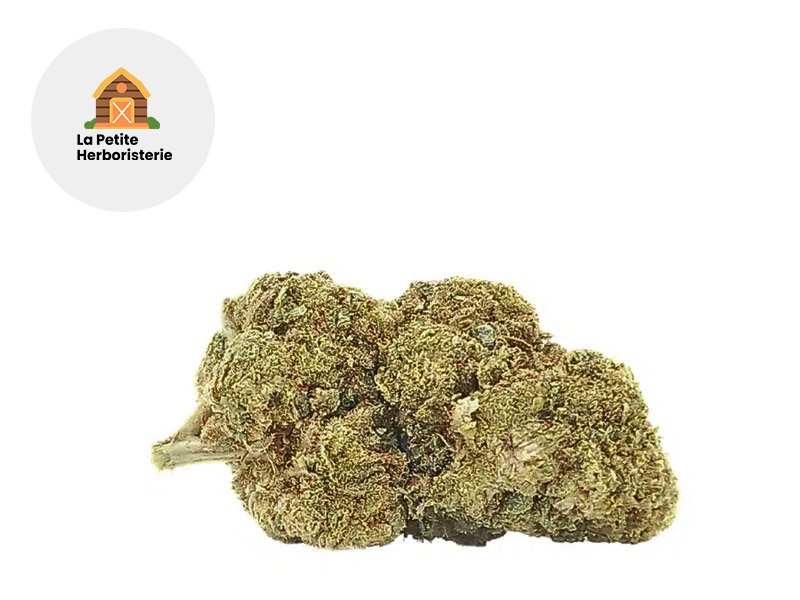 Fleur Critical CB9 Greenhouse 17% - La Petite Herboristerie