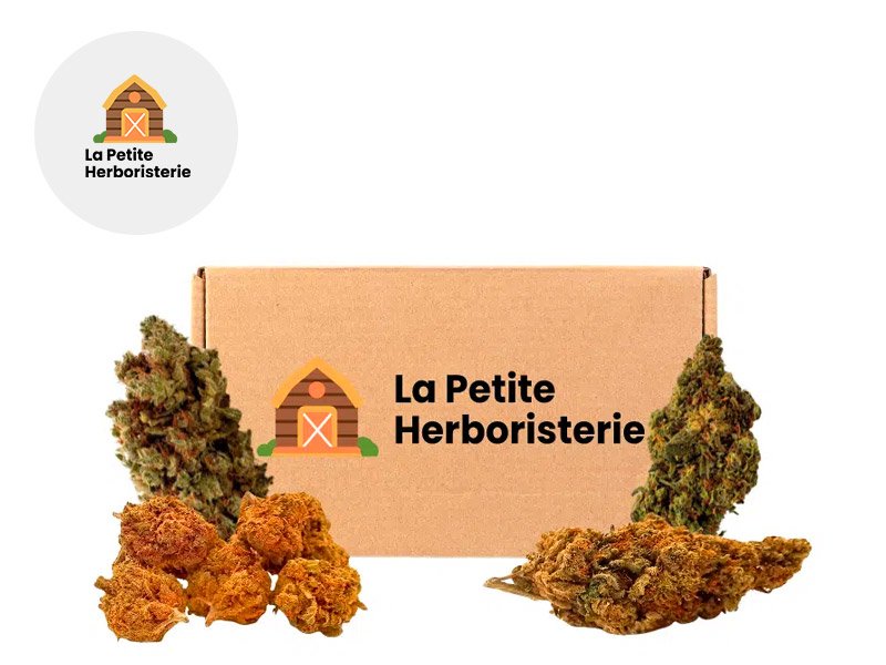 Fleur Pack CBC 4 fleurs Indoor % - La Petite Herboristerie