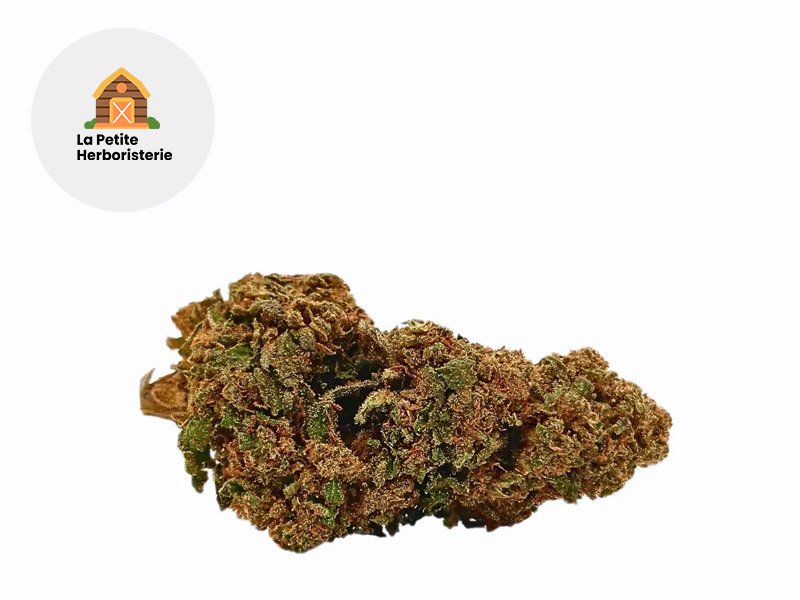 Fleur Pack CBNo 4 fleurs Indoor % - La Petite Herboristerie