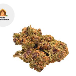 Fleur Purple CBD Indoor 20% - La Petite Herboristerie