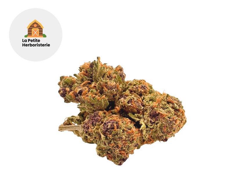 Fleur Purple CBD Indoor 20% - La Petite Herboristerie