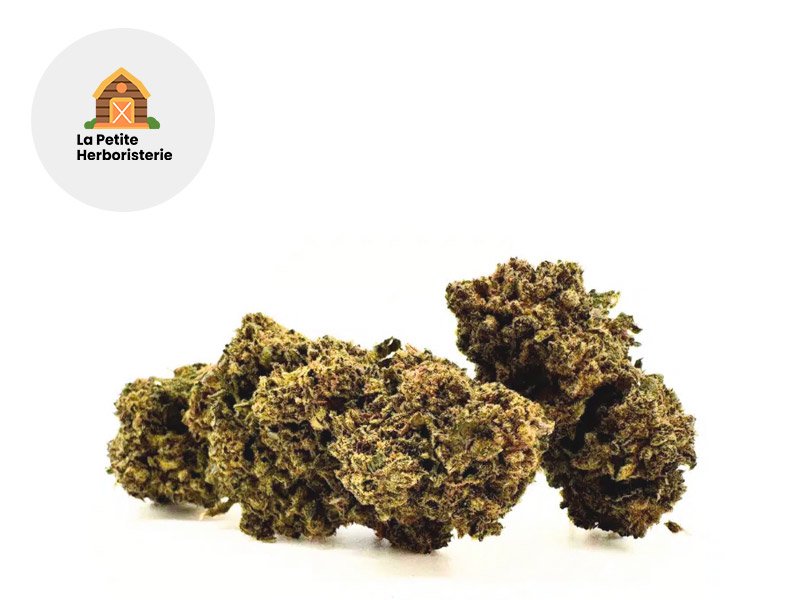 Fleur Charlotte’s Web CBD Indoor 20% - La Petite Herboristerie