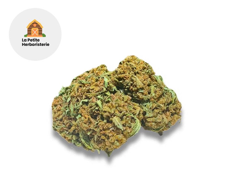 Fleur Harlequin Bretagne CBD Outdoor 11% - La Petite Herboristerie