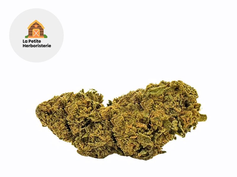 Fleur Tripoli HPE Greenhouse 27% - La Petite Herboristerie