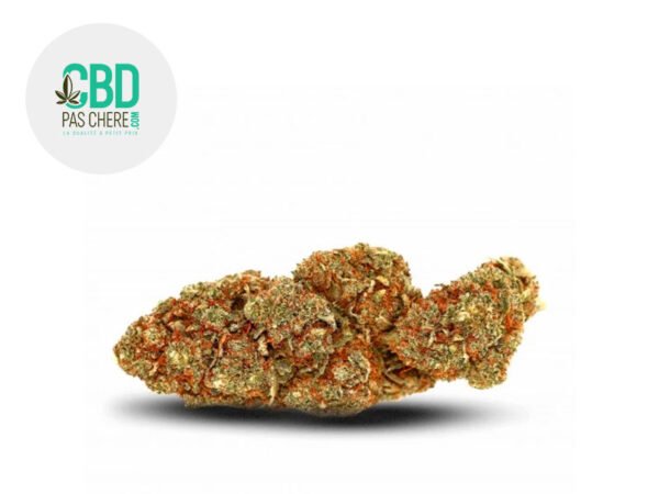 Fleur OG Kush CBD Indoor 19% - CBD Pas Chère