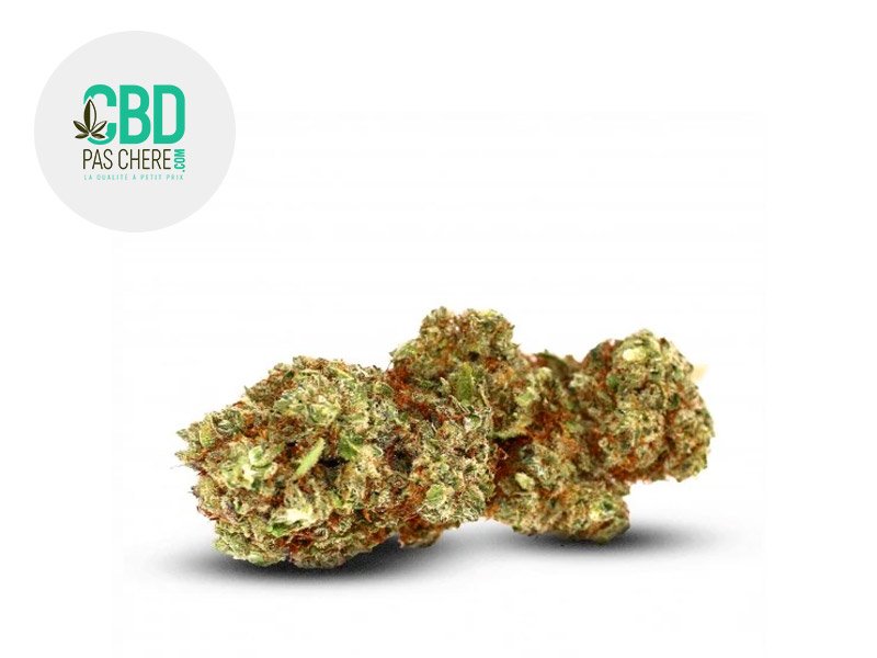 Fleur White Widow CBD Indoor 20% - CBD Pas Chère