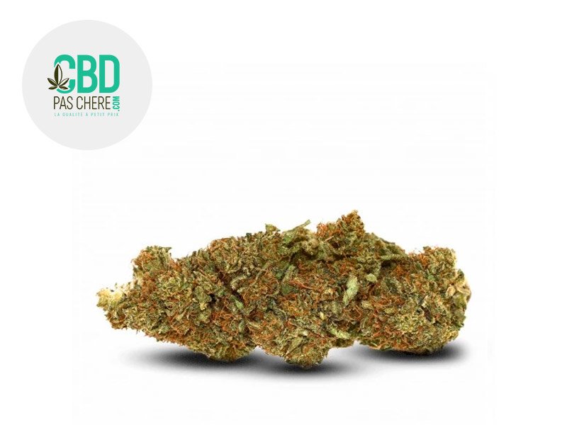 Fleur Gelato CBD Indoor 18% - CBD Pas Chère
