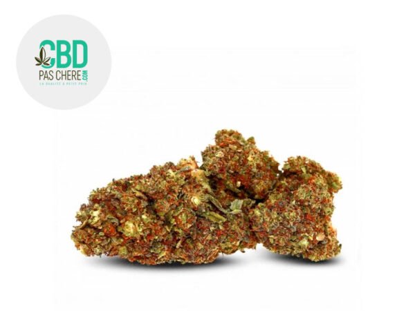 Fleur Strawberry Banana SS CBD Greenhouse 18% - CBD Pas Chère