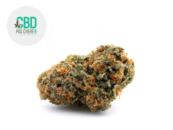 Fleur Orangello CBD Indoor 25% - CBD Pas Chère